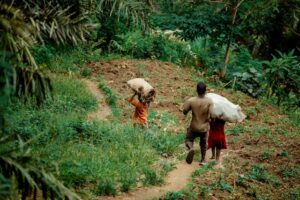 El campo dominicano sigue siendo un espacio clave de producción, pero con limitaciones estructurales en oportunidades